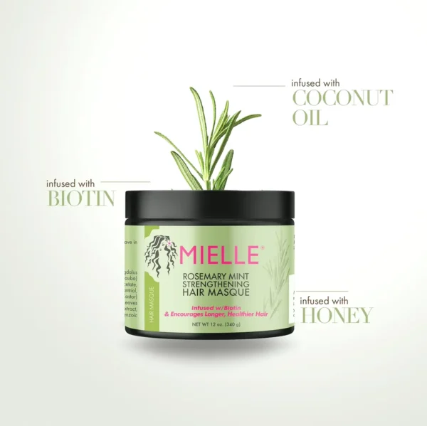 Mielle Organics Rosemary Mint Fortifying Hair Masque, Oil & Biotin Deep Treatment, Repair for Dry, Damaged, & Frizzy Hair, 12 oz